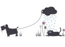 Wallsticker Cat & Rain