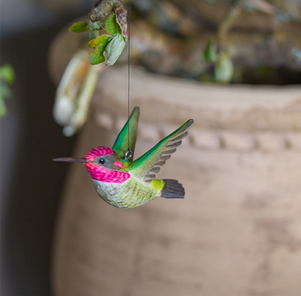 Deco Bird - Annakolibri