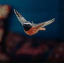 Deco Bird - fliegender Gartenrotschwanz
