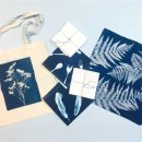 DIY Cyanotype Kit - Textil