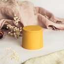 Silicone mold Container with lid - Conical cylinder small