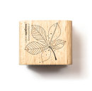 Stamp Chestnut Leaf 4 Outline