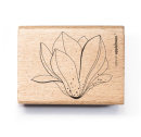 Stamp Magnolia Blossom Outline 1 - open