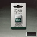 W & N Aquarellfarbe Professional Perylene Green