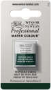 W & N Watercolour Professional Perylene Green