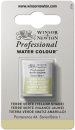W & N Aquarellfarbe Professional Terre Verte - Yellow Shade