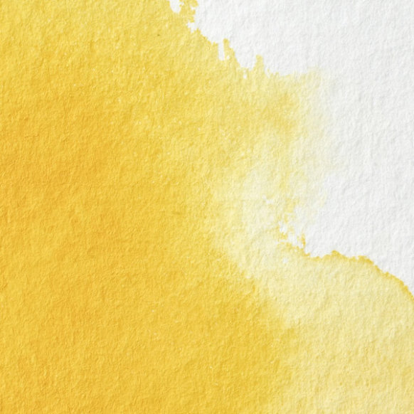 W & N Watercolour Professional Cadmium Yellow