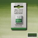 W & N Aquarellfarbe Professional Chromoxid