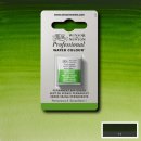 W & N Aquarellfarbe Professional Permanent...