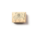 Stempel Blüte 59 - Lilie