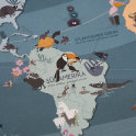 World Map 50 x 70cm